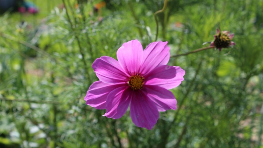 Foto 78.jpg